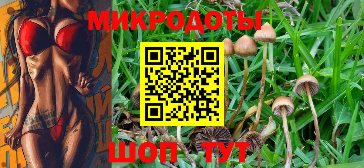 Знаменск  Галлюциногенные грибы MAGIC MUSHROOMS  Вход с VPN 